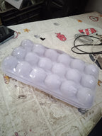 Empty 18-grid plastic egg tray, ready for fresh eggs.
