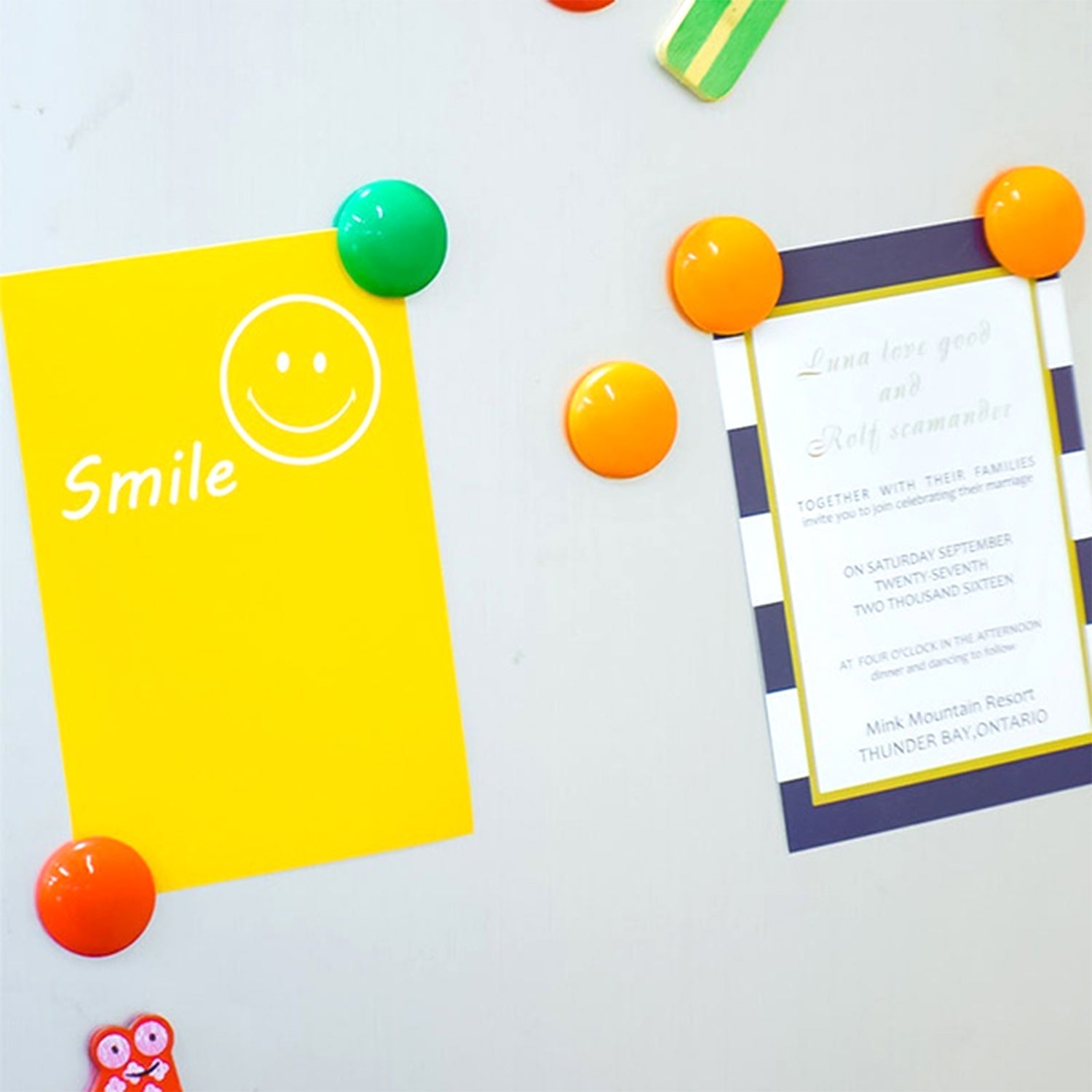 Durable ferrite magnets for hands-on children's science experiments.