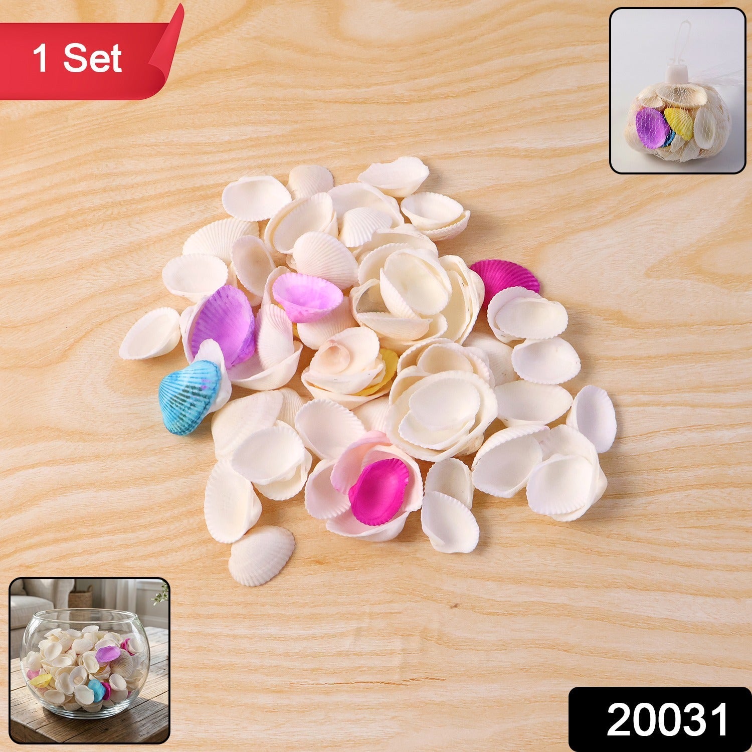 Decorative seashells set shown for vase filling and tabletop decoration