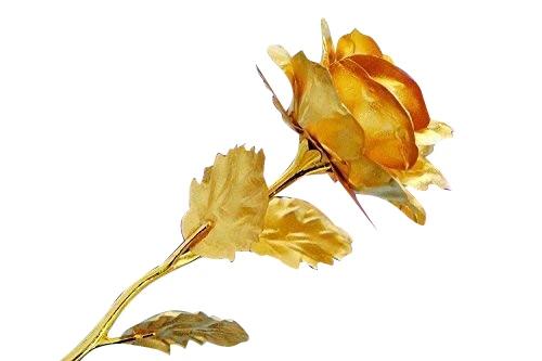 Gold rose gift item highlighting its premium finish and presentation