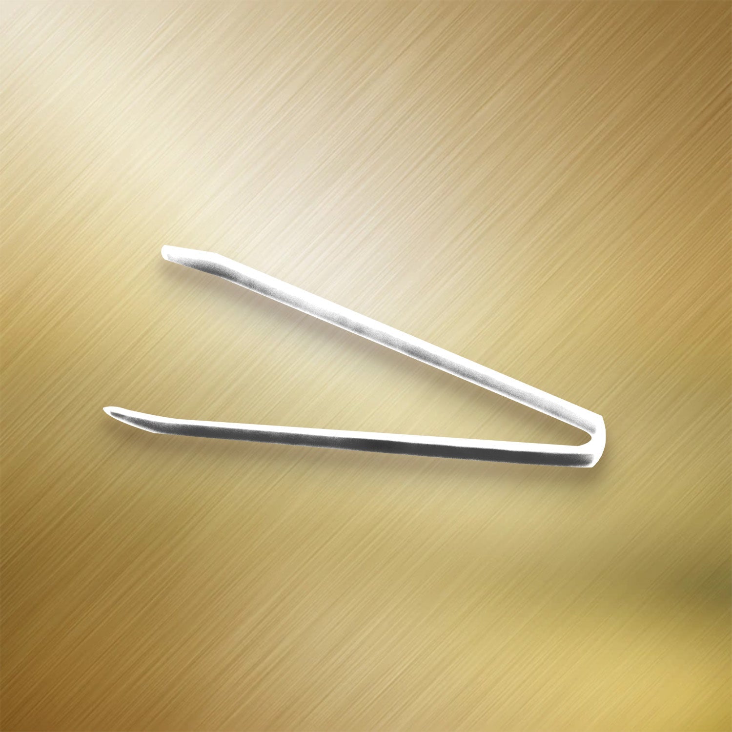 The complete 4-piece stainless steel nail clipper set secured in its plastic case.