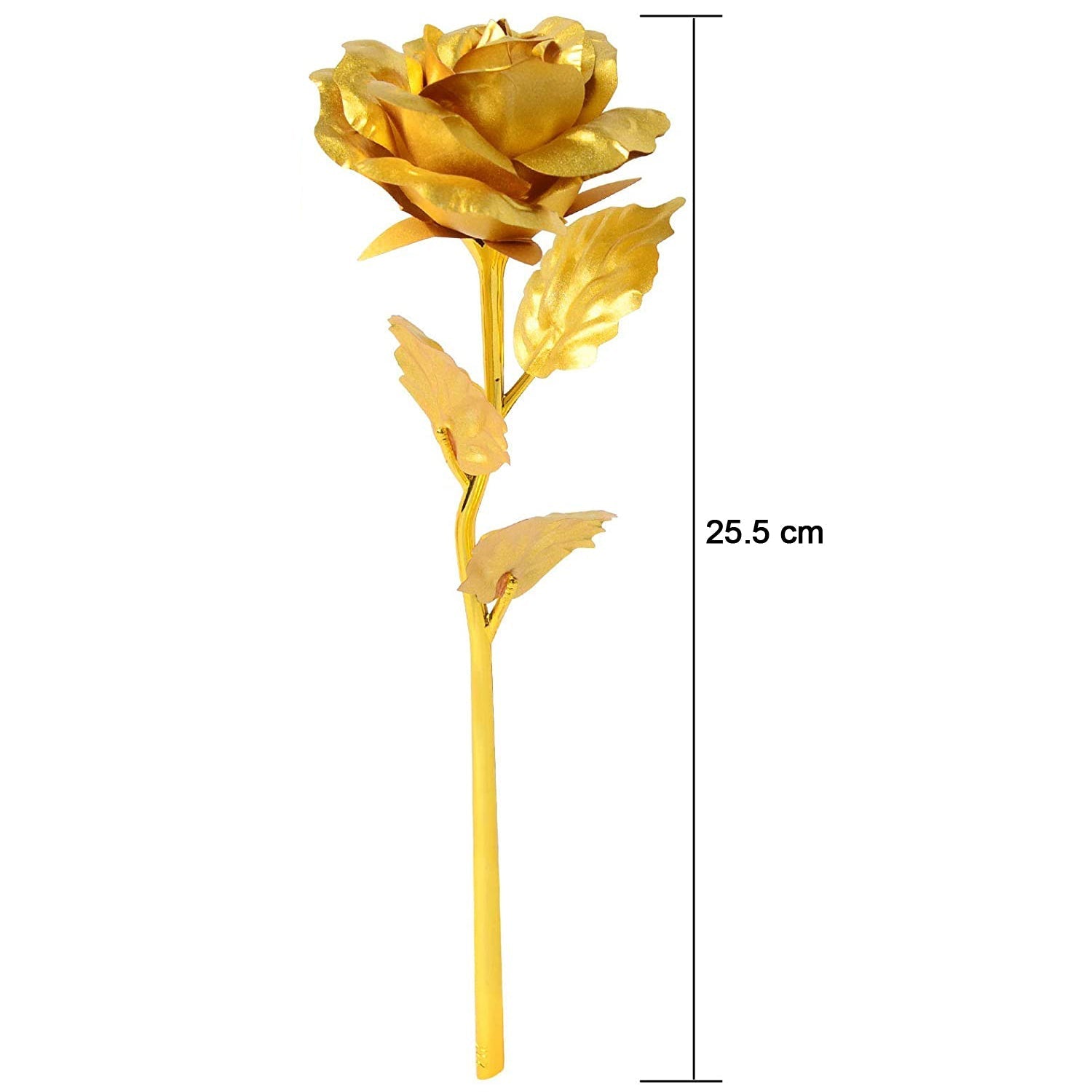Varied placement examples of golden rose decoration set for interiors