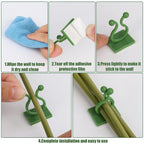 Illustration showing how to install the 30 Pcs wall plant clips on a surface.