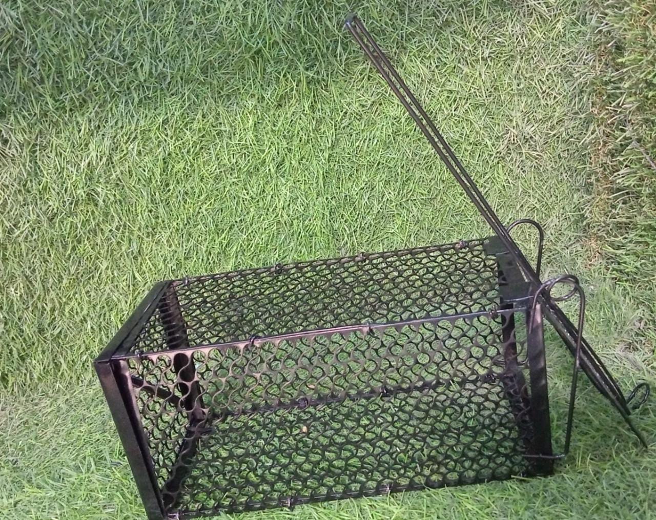 Multiple foldable animal traps stacked, showing reusable design.