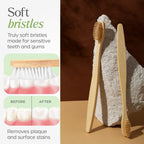 Sustainable packaging for bamboo toothbrush set helping reduce plastic waste