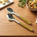 Premium stainless steel dining spoon set with glitter handles, pack of 2