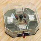 Grow Vanta Cockroach Trap Box, a non-toxic solution for pest control in Indian homes.