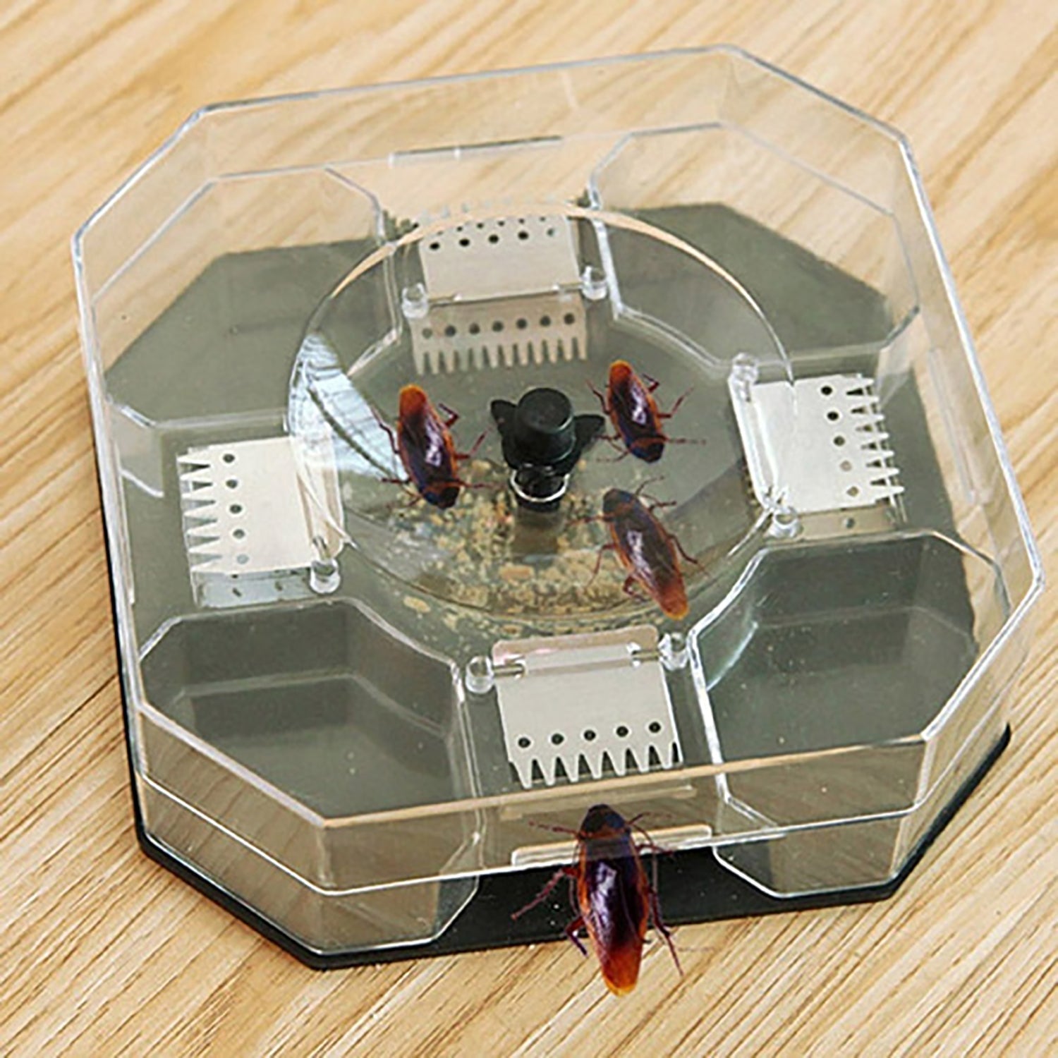 Grow Vanta Cockroach Trap Box, a non-toxic solution for pest control in Indian homes.