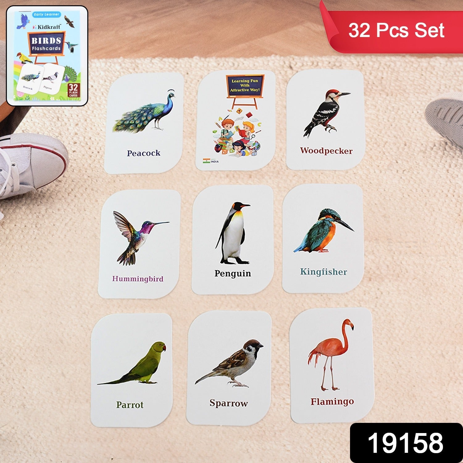 Close-up of vibrant bird flashcard featuring a peacock image with name label