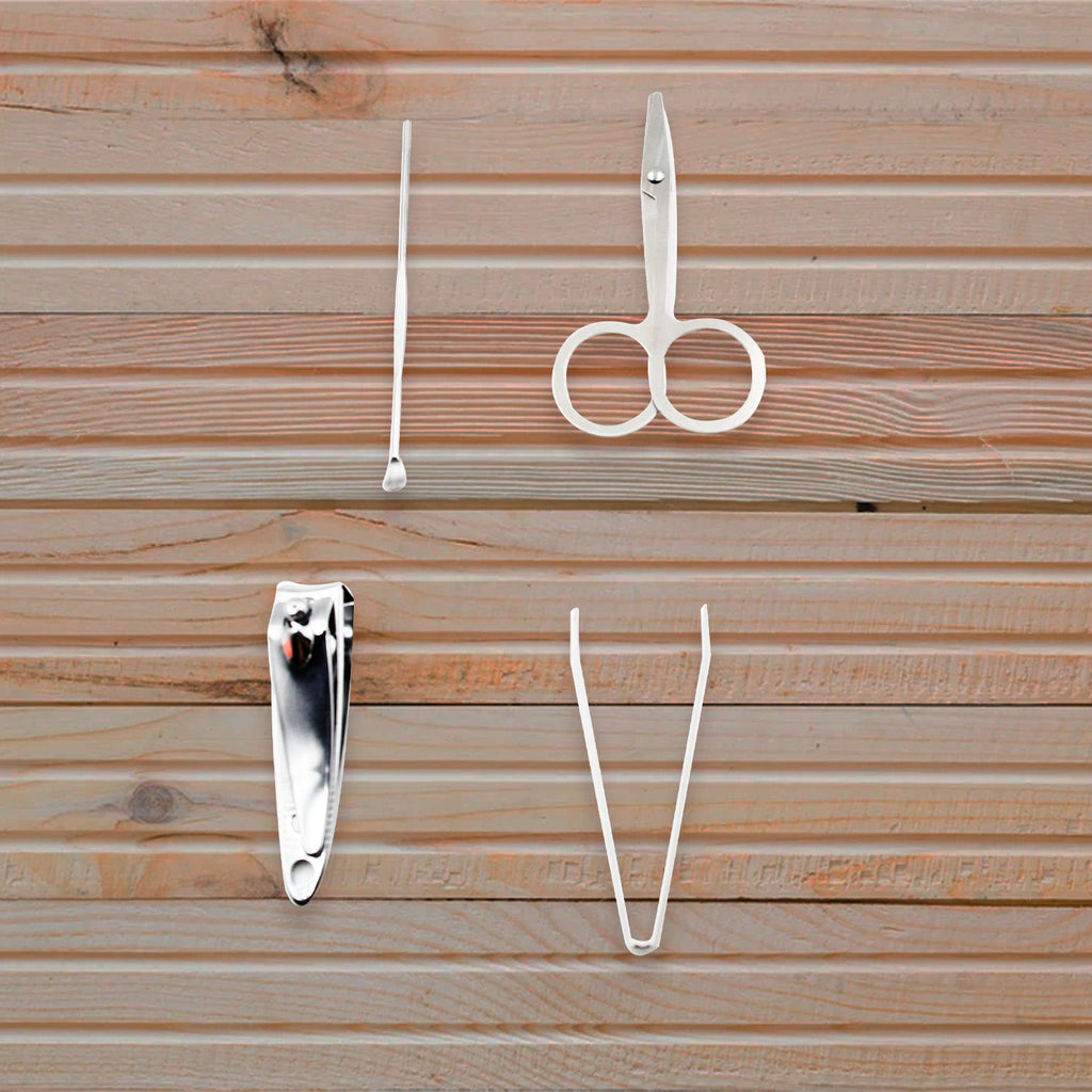 The AuriGlam mini nail clipper set shown with its protective plastic storage case.