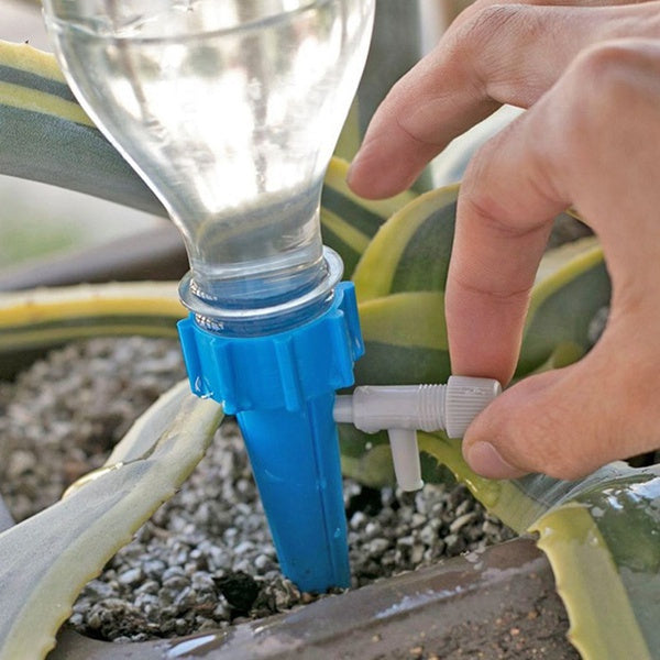 Drip irrigation system working efficiently in a lush potted plant.