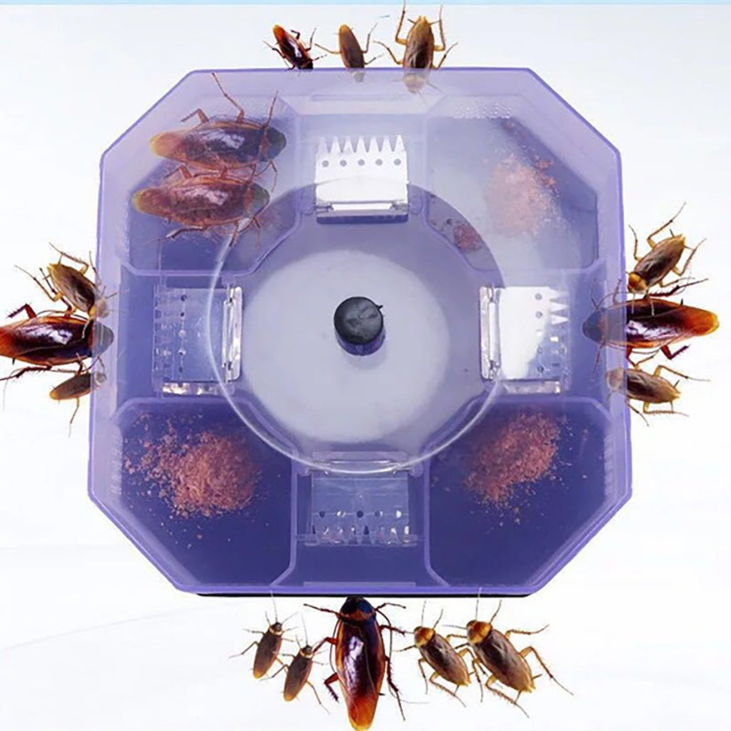 Durable plastic cockroach trap box designed for effective bug catching.
