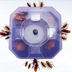 Durable plastic cockroach trap box designed for effective bug catching.