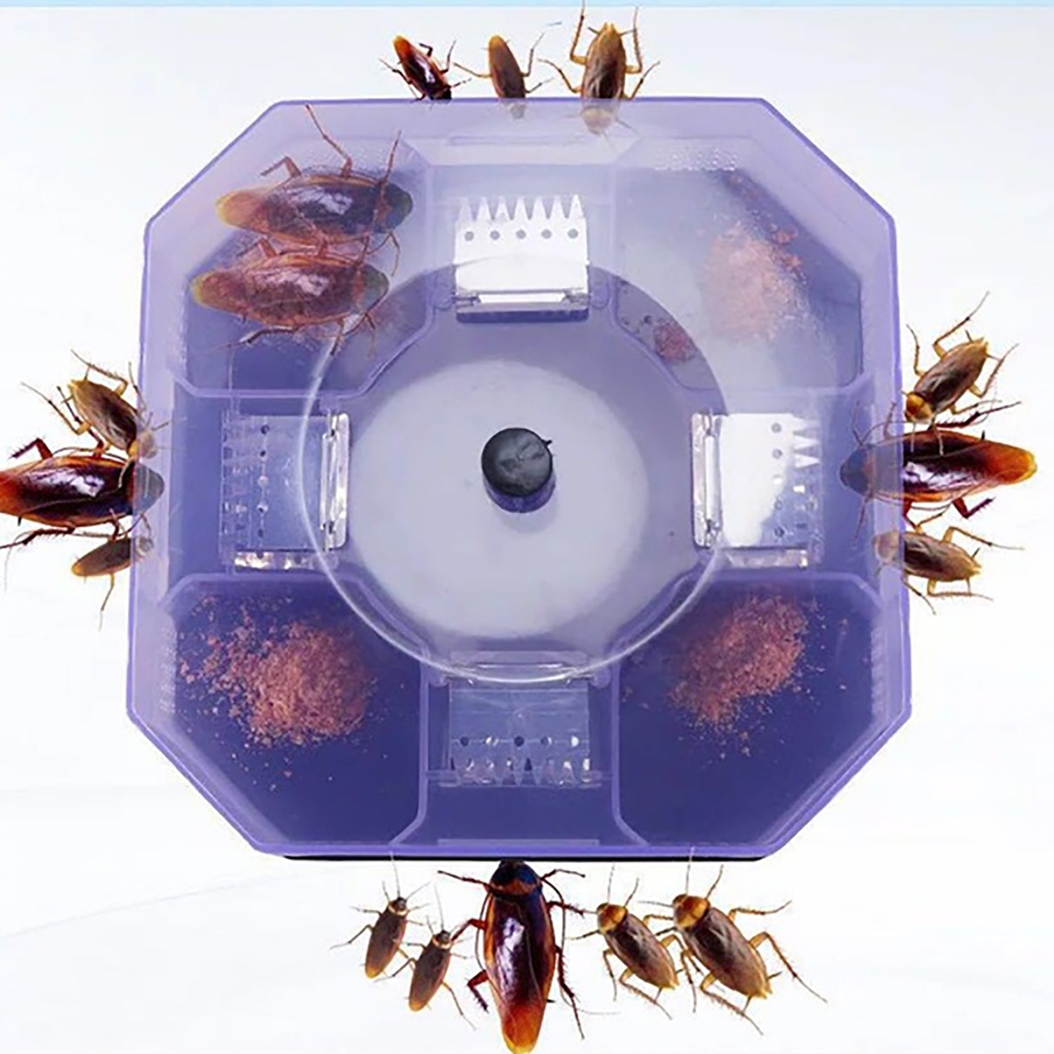 Durable plastic cockroach trap box designed for effective bug catching.