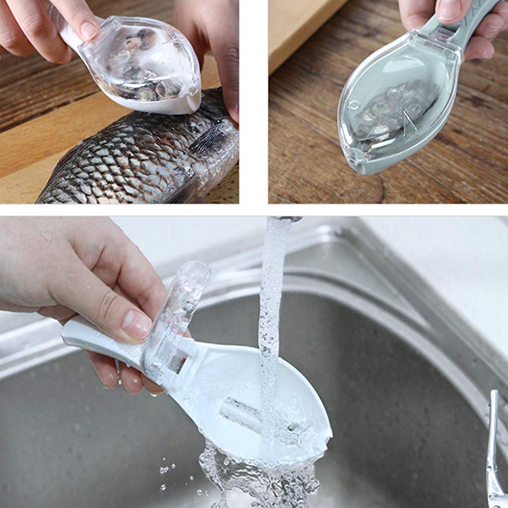 Kitchen essential, the fish scale remover, designed for quick and clean fish prep.