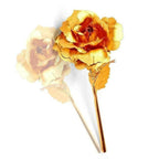 Neutral decorative image