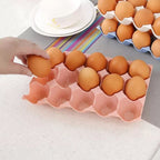 The 15 egg storage tray neatly placed inside a refrigerator shelf.