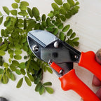 Professional garden scissors with sharp blades for precise trimming.