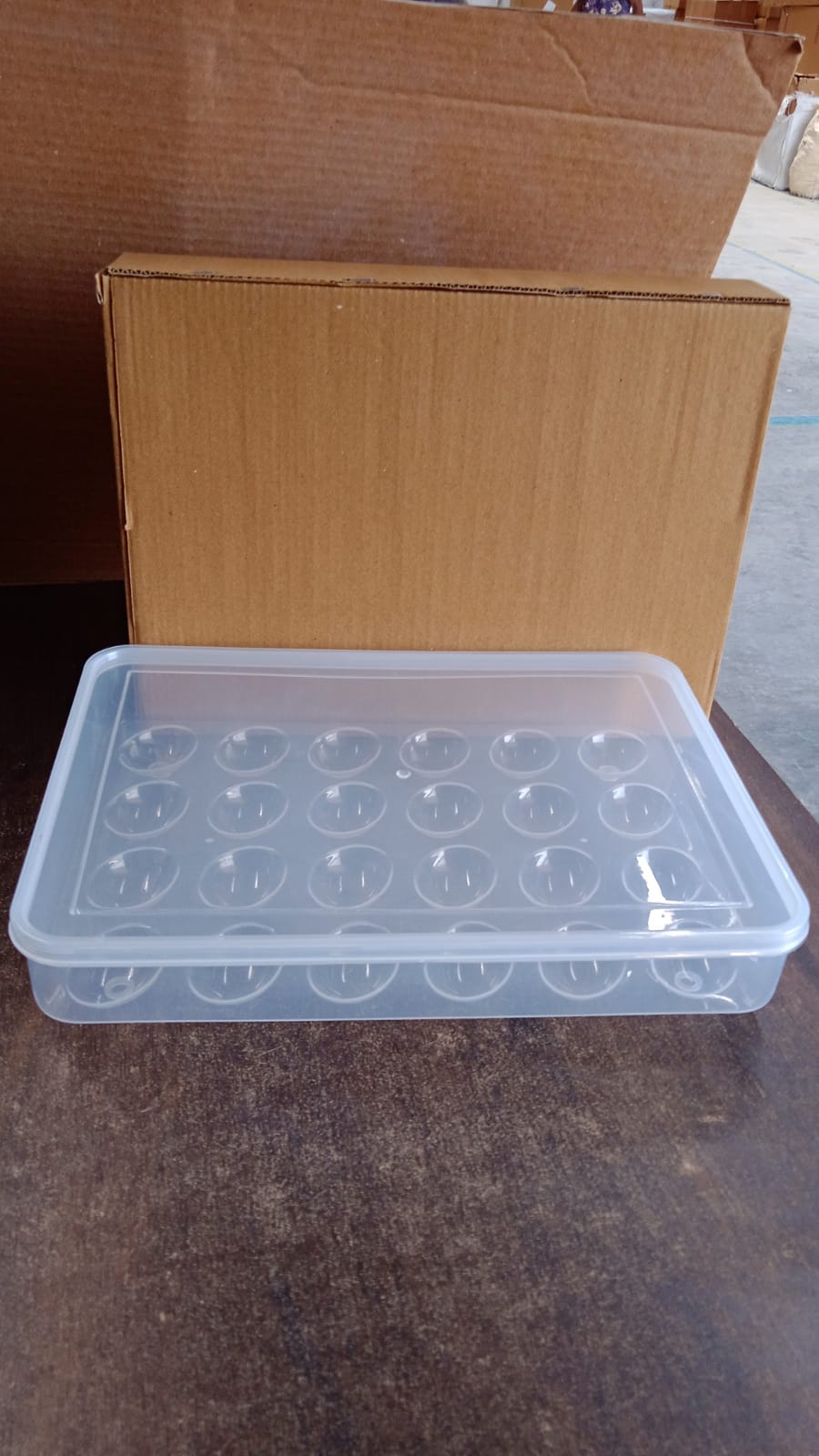 Close-up of a single egg inside clear plastic storage box