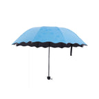 Several Magic Umbrellas displaying various blossom patterns in different stages.