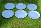 Compact mini plate set, ideal for small servings.