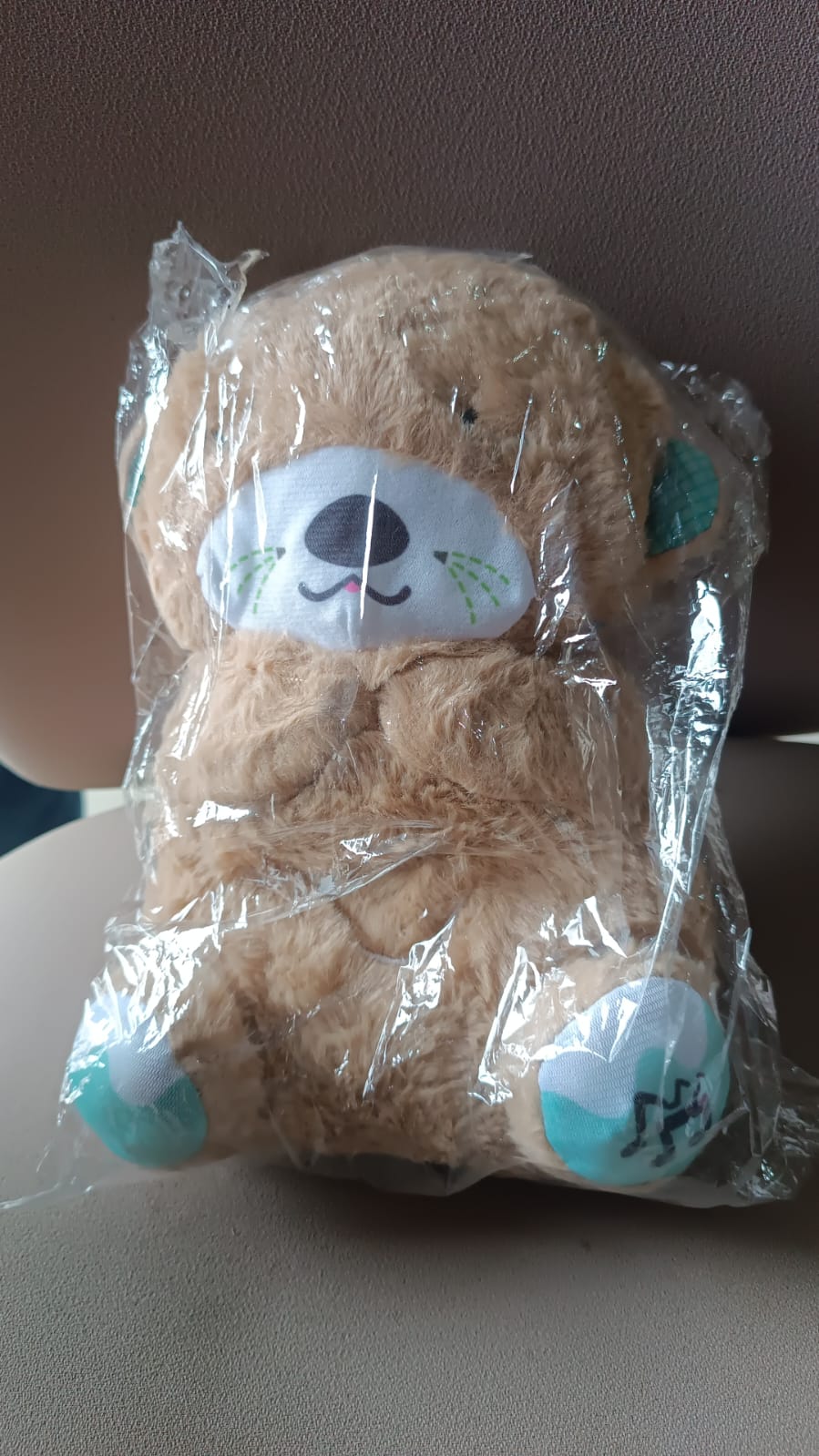 Musical teddy bear plush toy packaged as single gift unit