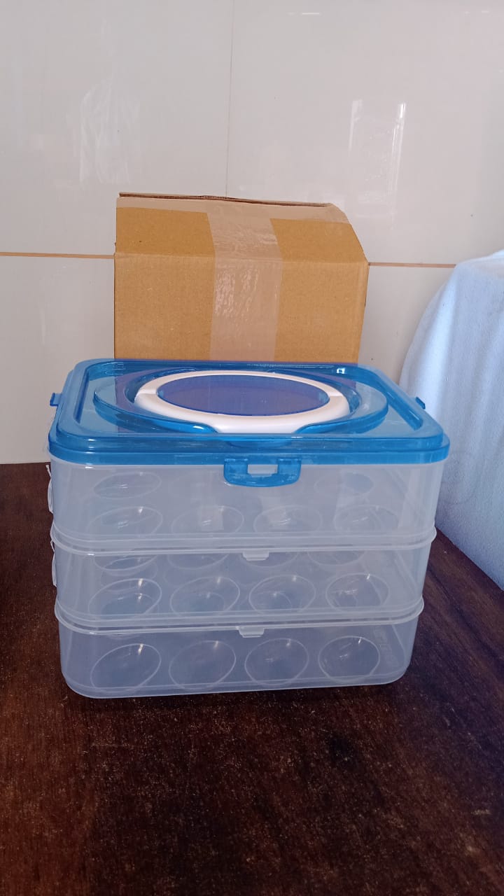 Portable egg storage box with a handle, ideal for safe transport of eggs.