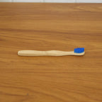 Wooden toothbrush in natural setting, eco-friendly material