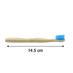 Size comparison of eco-friendly wooden toothbrush