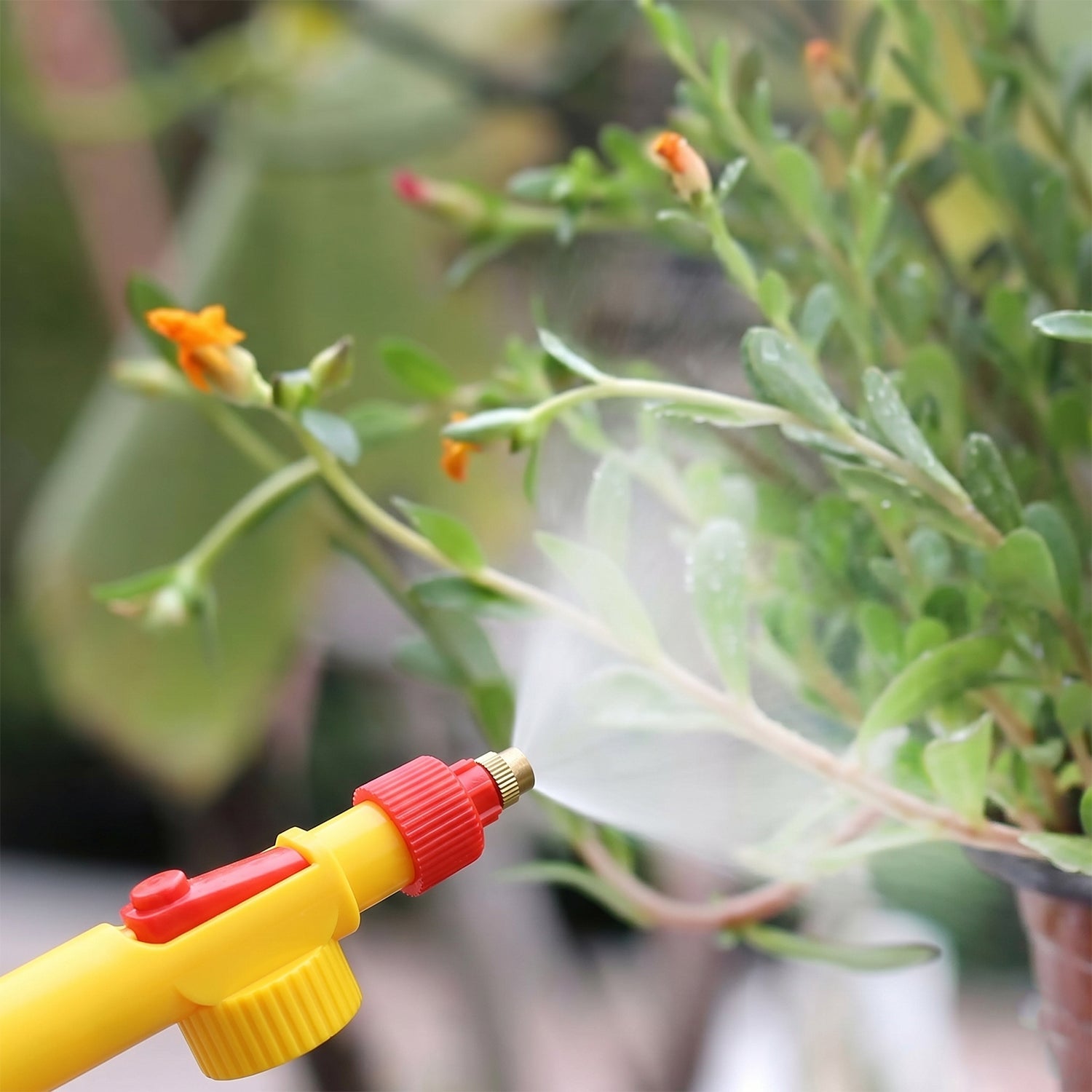 Adjustable spray nozzle of the bottle sprayer, showing various spray patterns.