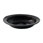 Elegant premium glossy black bowl perfect for curry servings