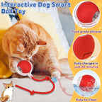 Durable interactive cat toy ball with detachable braided tail component