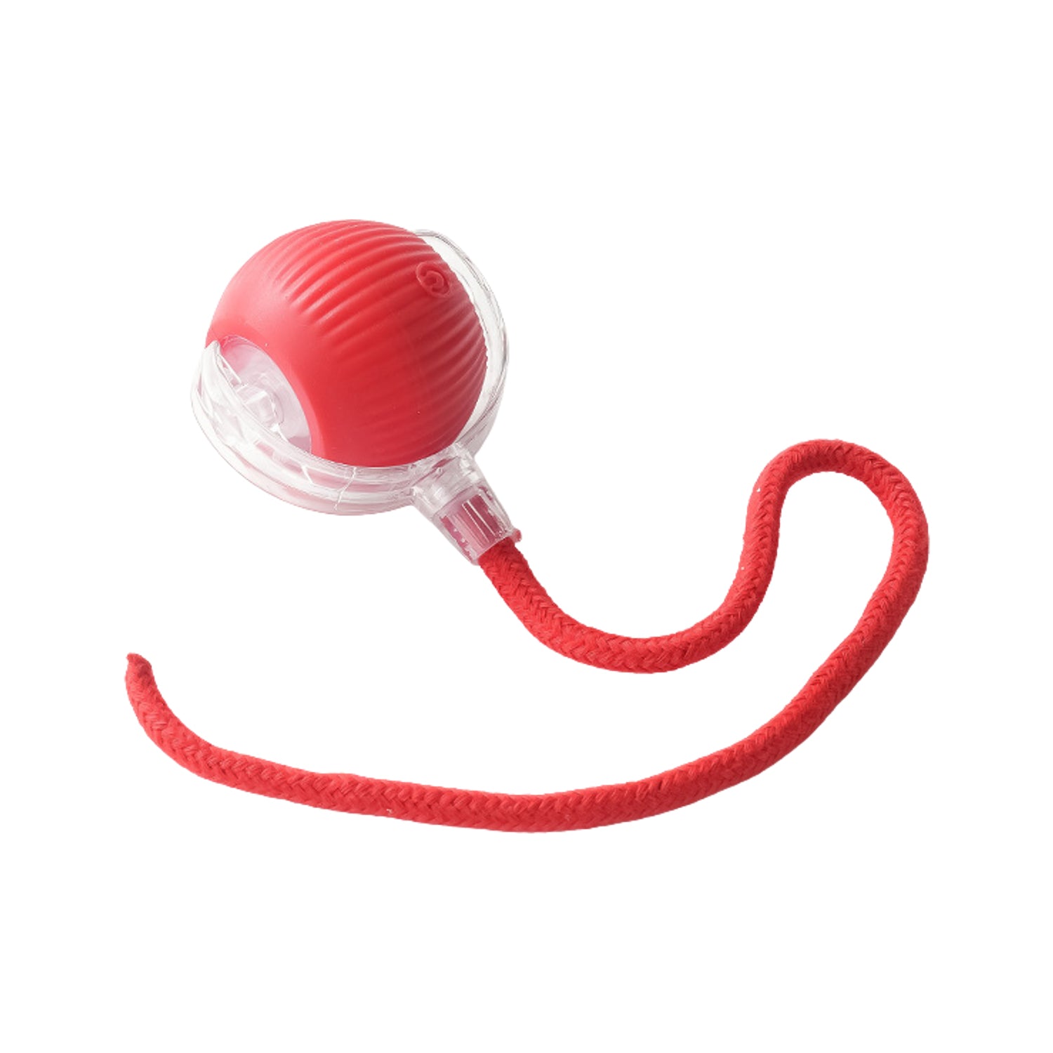 Interactive cat toy ball for indoor pet play and mental stimulation