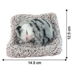 Soft interior car decor featuring a plush sleeping cat design
