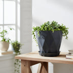 Stylish plastic flower pots featuring diamond design with matching trays