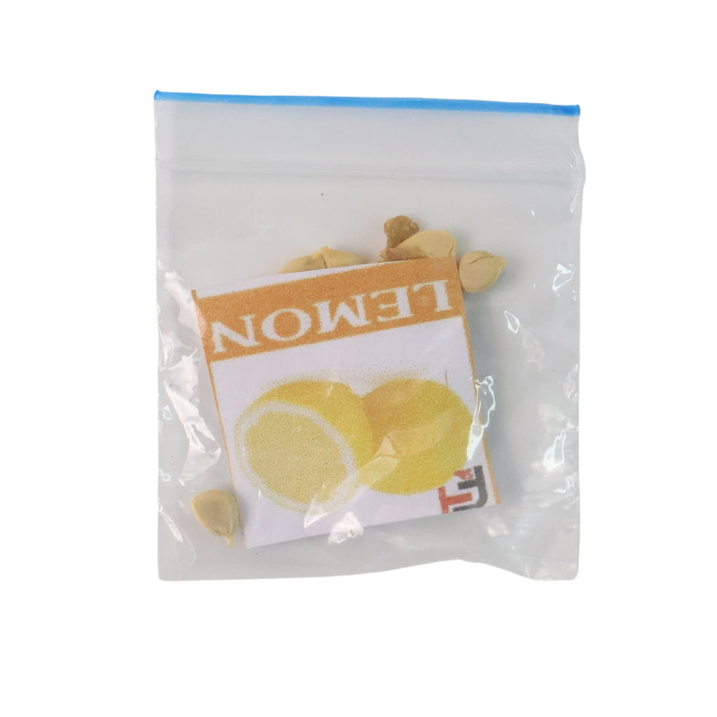Complete set of fruit seeds to cultivate at home