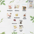 Fruit seeds combo pack sealed in a pouch for home gardening