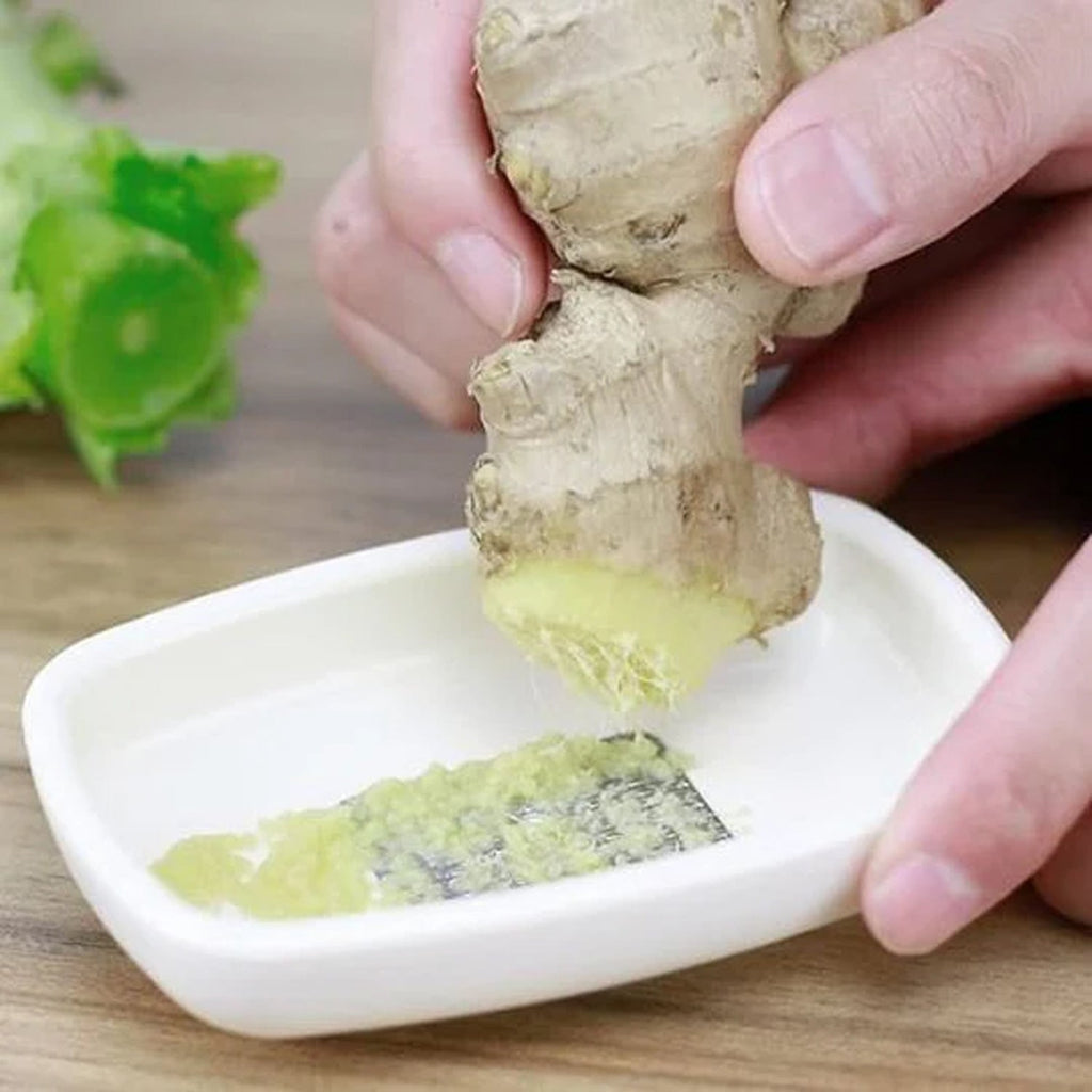 garlic ginger paste maker in stainless steel