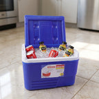 Lightweight portable cooler box for keeping drinks and snacks cold