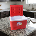Travel-friendly 6L red insulated beverage cooler with side handles
