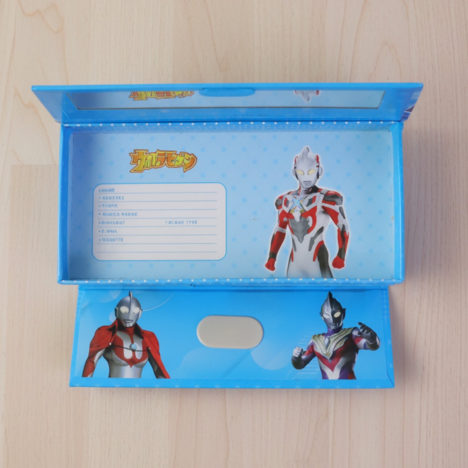 Compact foldable cosmetic storage case with mirror