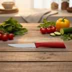 Ergonomic handle detail on stainless steel kitchen fruit knife