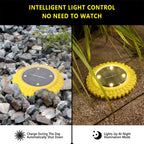 Solar powered LED garden lights installed along pathway