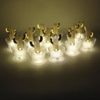 Decorative flameless cactus candle with LED light inside transparent holder