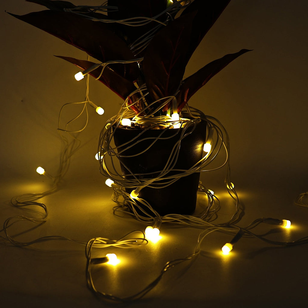 Decorative warm LED string lights illuminated in evening setting