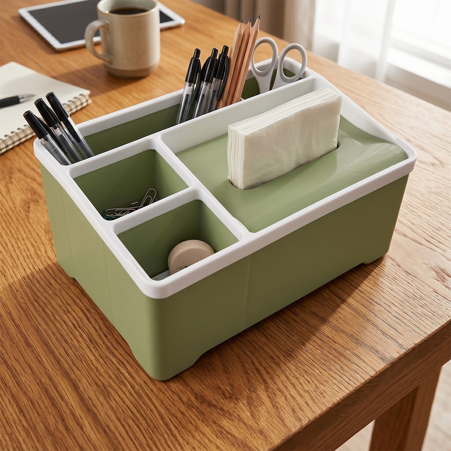 Portable storage organizer for home and office