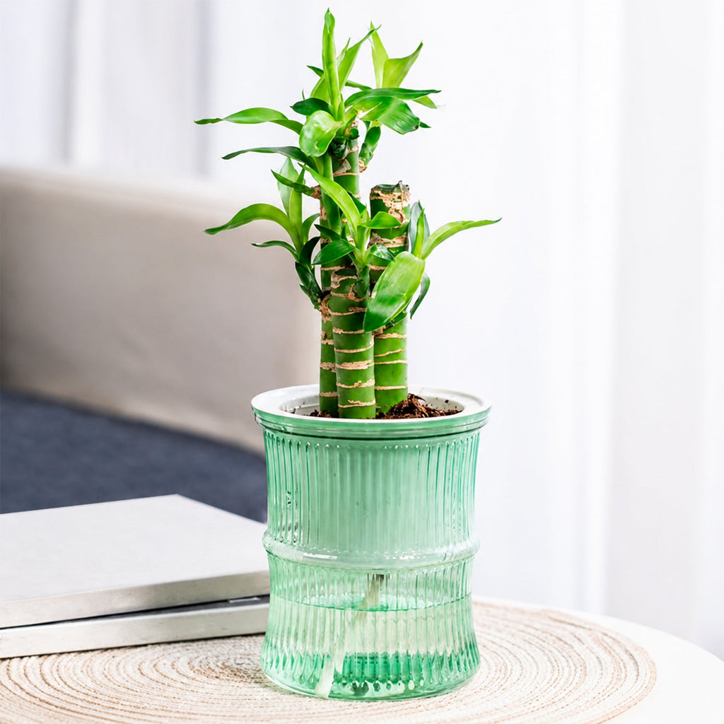 Self-watering bamboo style plant pot with reservoir