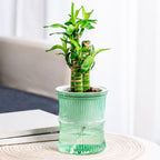 Self-watering bamboo style plant pot with reservoir