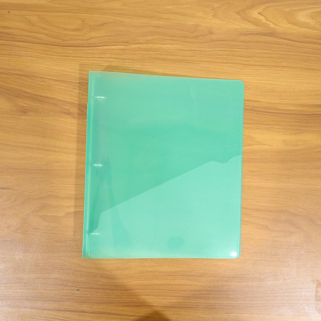 Document storage binder with transparent cover