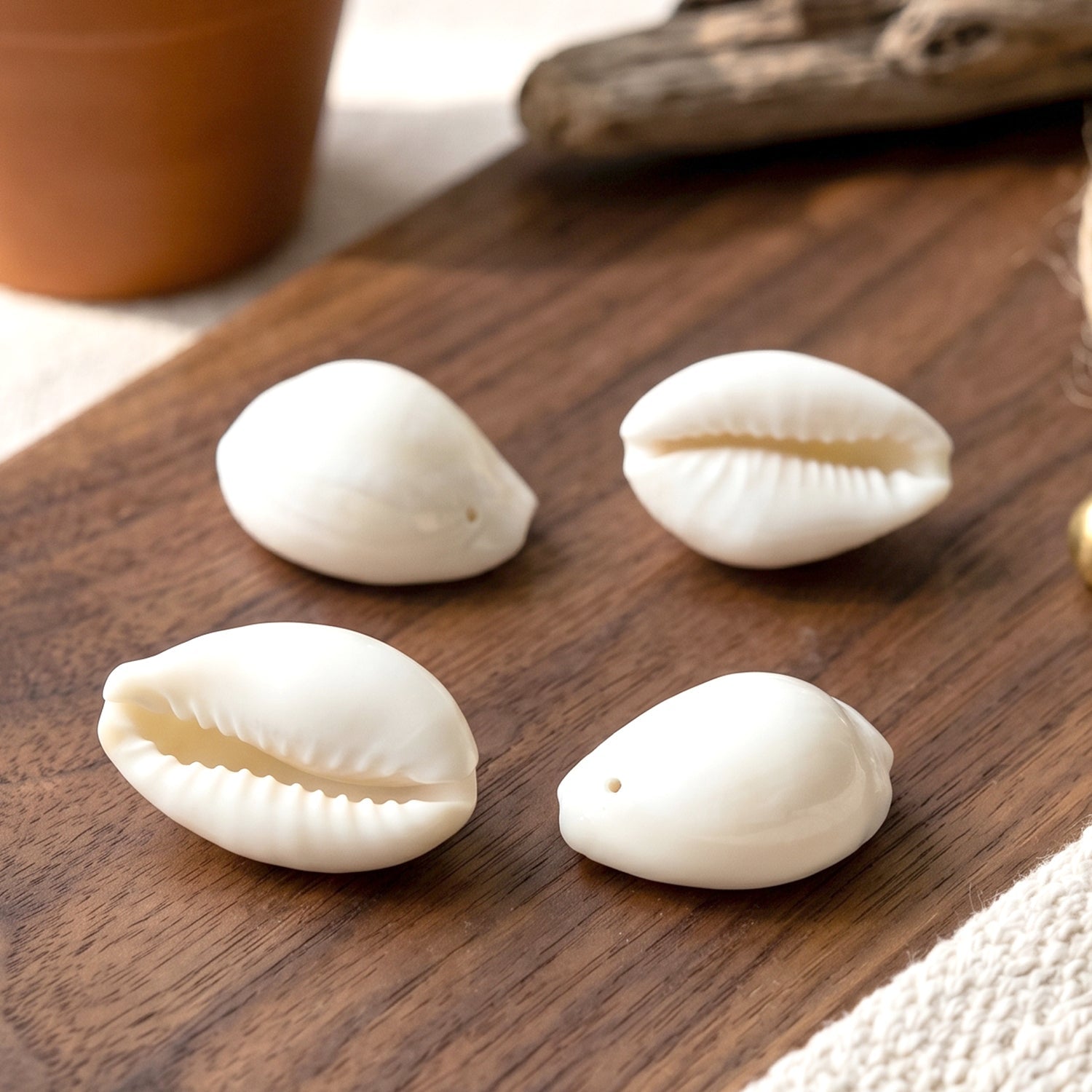 Lightweight natural sea shells for religious ceremonies and crafts